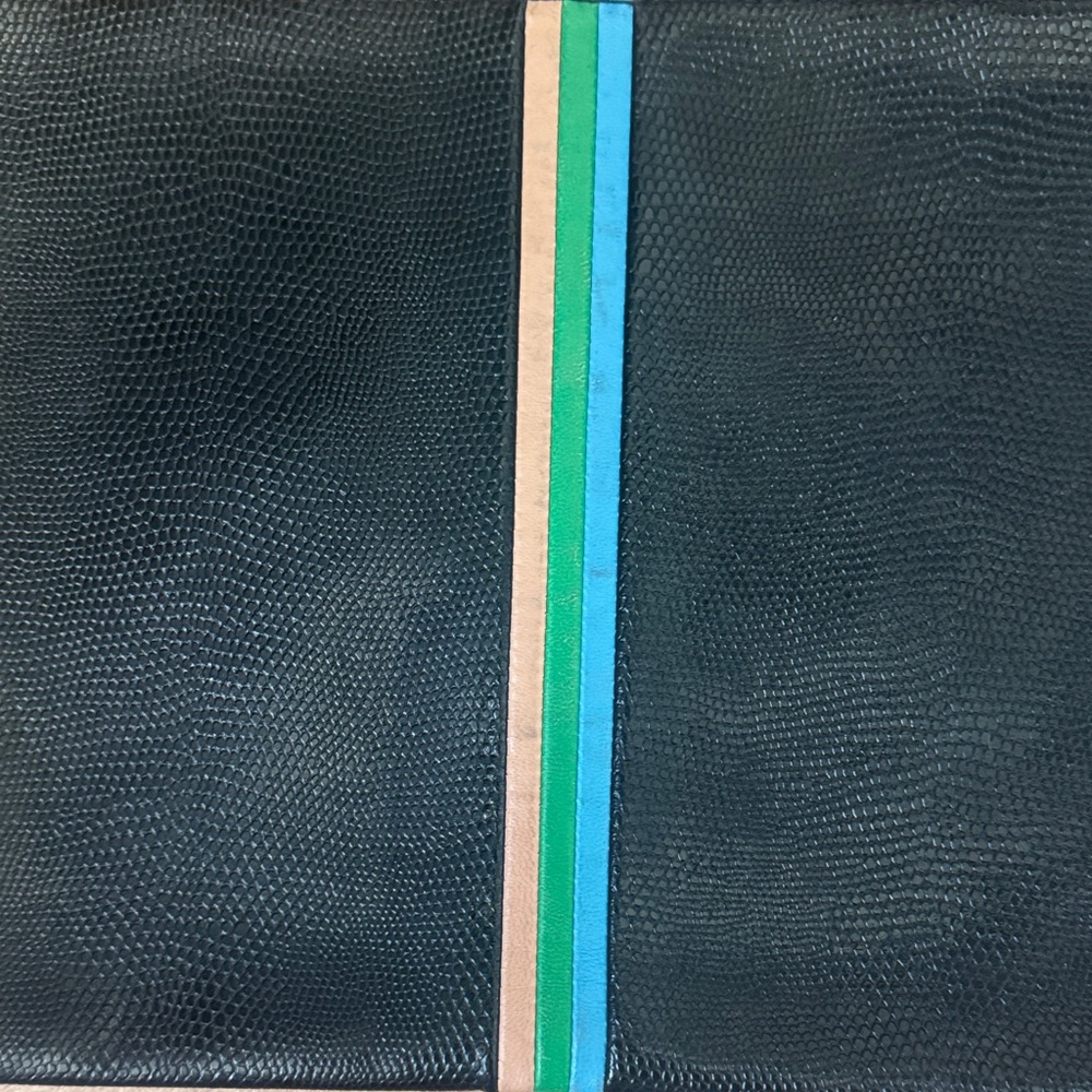 Clare v Black Leather Pouch with Blue, Green & pink Center Stripe - Picture 5 of 5